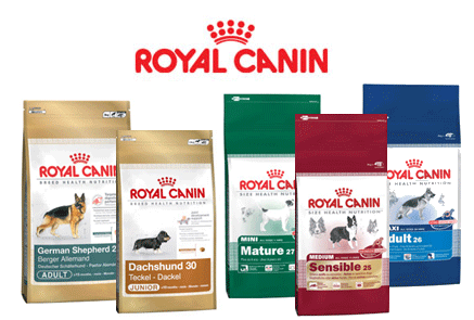 Royal Canin Bull Terrier 2024 www.burnham ward